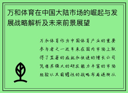 万和体育在中国大陆市场的崛起与发展战略解析及未来前景展望